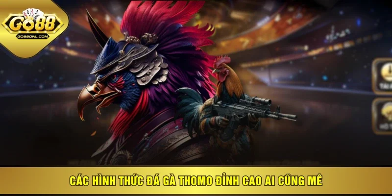 Các hình thức đá gà Thomo đỉnh cao ai cũng mê