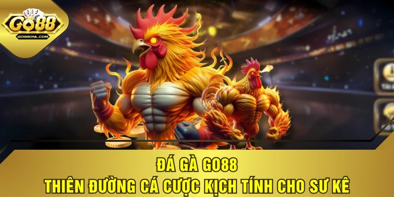Đá Gà GO88 - Thiên Đường Cá Cược Kịch Tính Cho Sư Kê