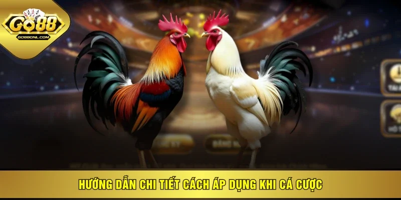 Hướng dẫn chi tiết cách áp dụng khi cá cược