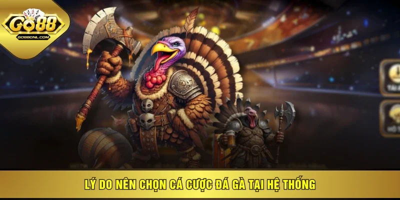 Lý do nên chọn cá cược đá gà tại hệ thống