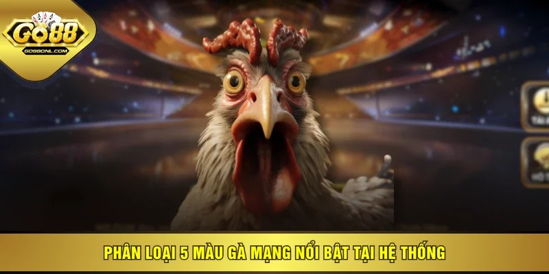 Phân loại 5 màu gà mạng nổi bật tại hệ thống